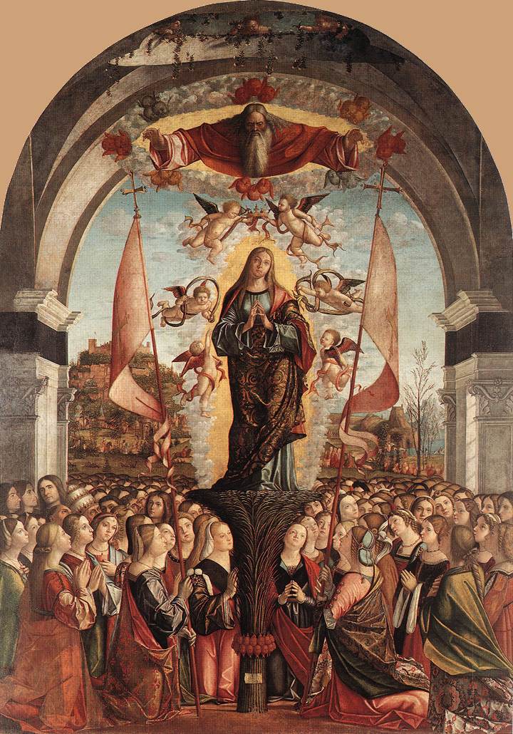 Apotheosis of St Ursula dfg